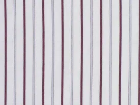 100% Egyptian Cotton