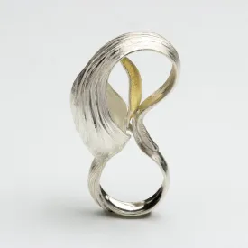 Andi Terry - A Study in Curves