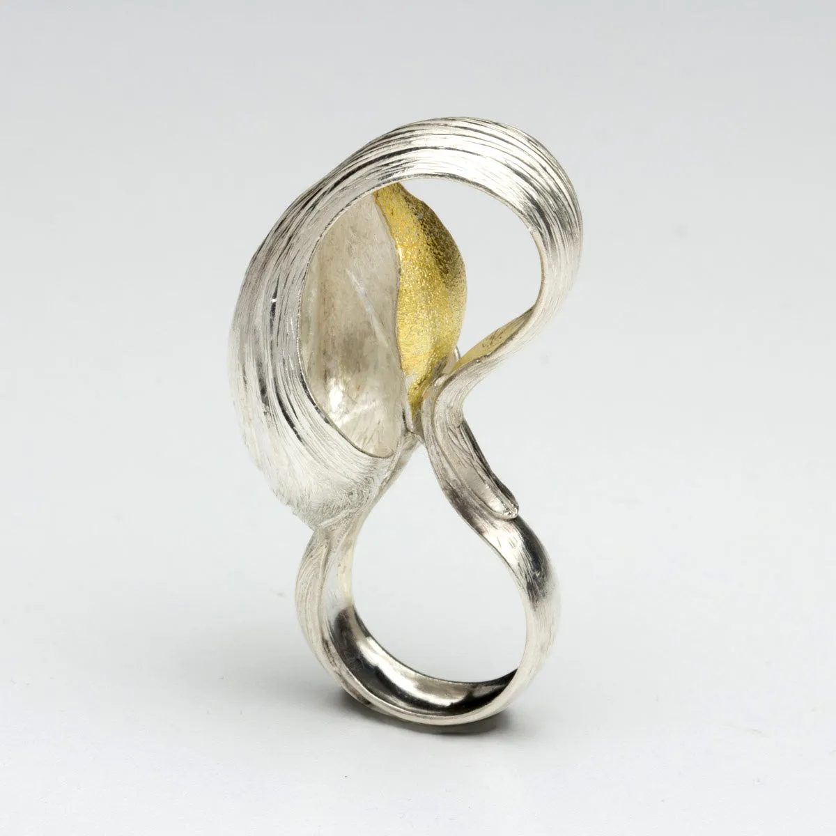 Andi Terry - A Study in Curves
