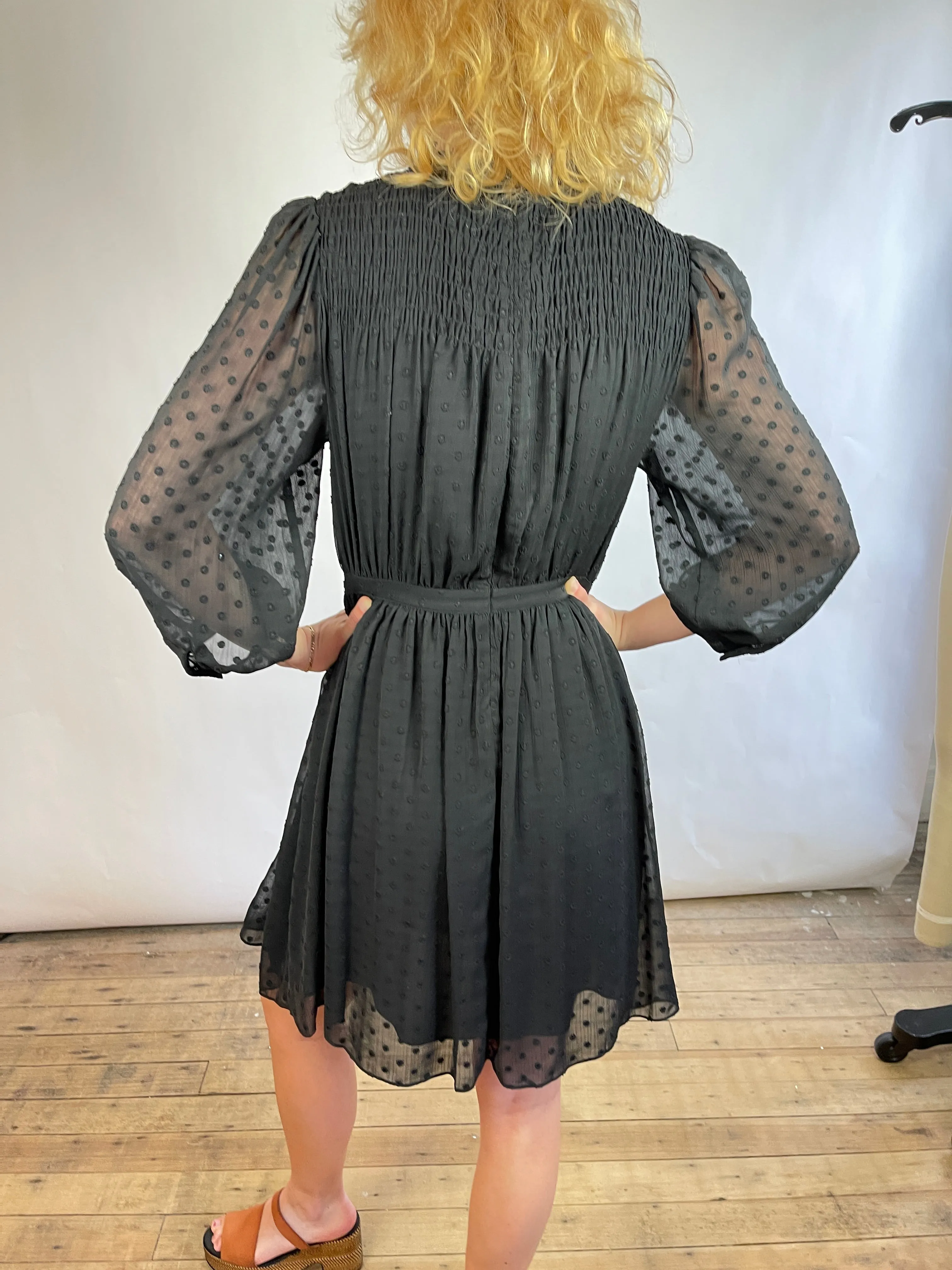 Rebecca Taylor Clip Dot Dress (2, 8, & 10)