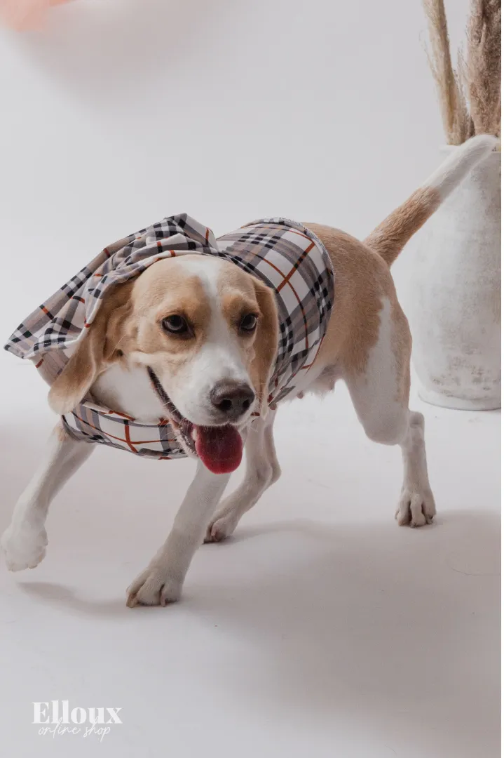 White Checkered FurBaby Hoodie and FurMom Self-Tie Coordinates